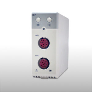 ibp-module-12m17m