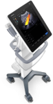 te7 covid ultrasound
